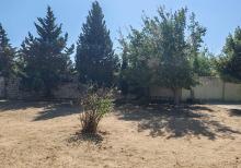 Buzovnada həyət evi satılır
