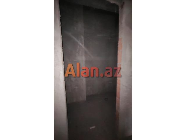 Yeni  tikili