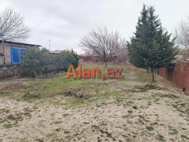 Fatmayıda 12sot