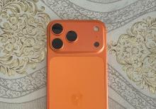 17 pro max