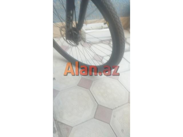 29 Velosiped