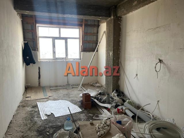 Yeni  tikili