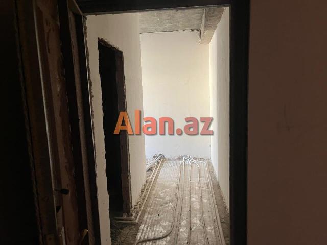 Yeni  tikili