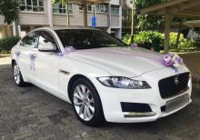 jaguar bey gelin toy masini sifarisi