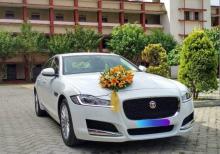 jaguar bey gelin toy masini sifarisi