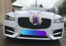 jaguar bey gelin toy masini sifarisi