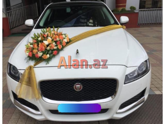 jaguar bey gelin toy masini sifarisi