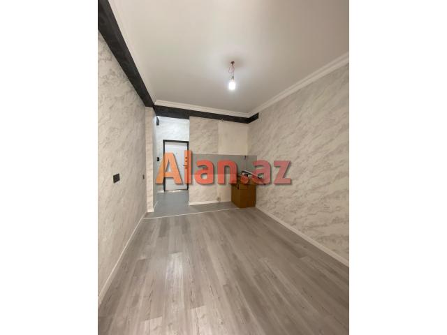Yeni  tikili