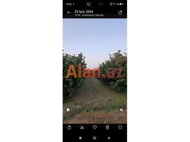 1 hektar 26 sot torpaq sahəsi satılır