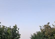 1 hektar 26 sot torpaq sahəsi satılır