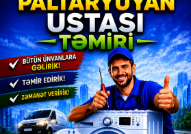Paltaryuyan Temiri