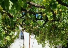 Buzovnada həyət evi satılır