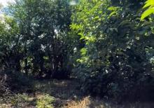 Satılır Təcili