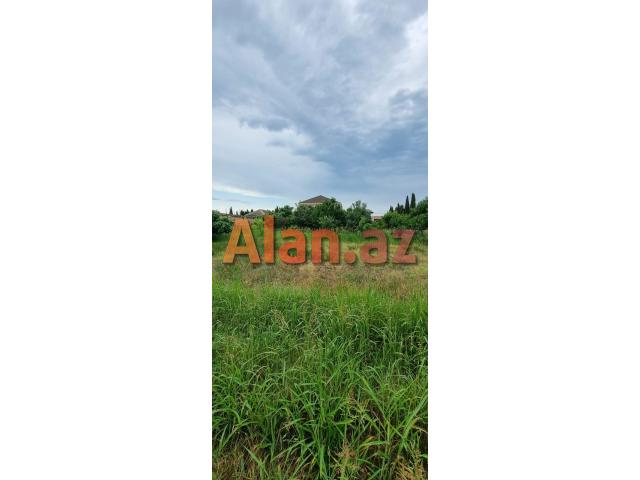 Albalılıqda torpaq sahəsi satılır