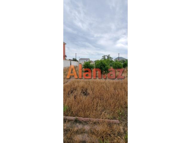 Albalılıqda torpaq sahəsi satılır