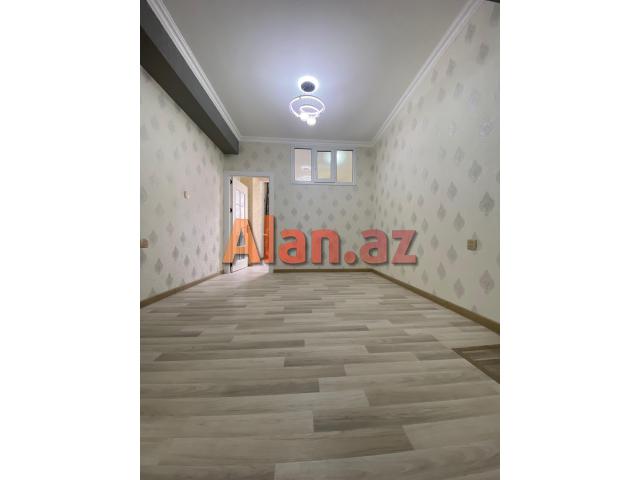 Yeni  tikili