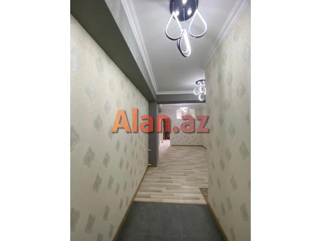 Yeni  tikili