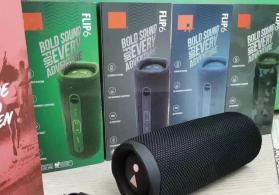 JBL Flip 6
