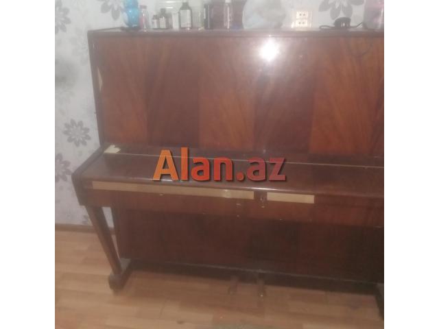 Pianino belarus