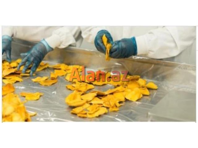 Cips Fabrikinə Paketçi xanım tələb olunur!