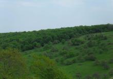 12 sot torpaq satılır, Qusar rayonu
