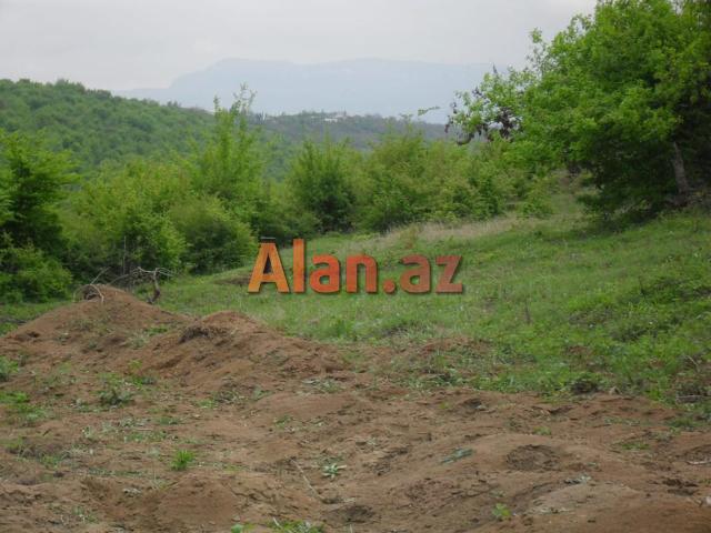 12 sot torpaq satılır, Qusar rayonu