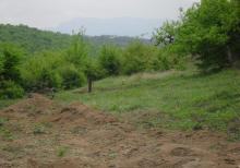 12 sot torpaq satılır, Qusar rayonu