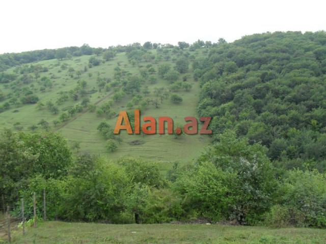 12 sot torpaq satılır, Qusar rayonu