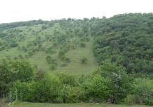 12 sot torpaq satılır, Qusar rayonu