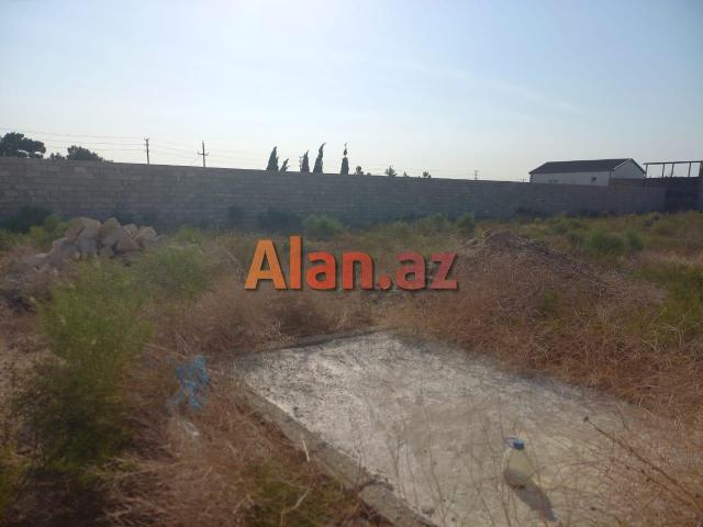 12 Sot Torpaq, Zirə qəs (Dəniz kənarı)