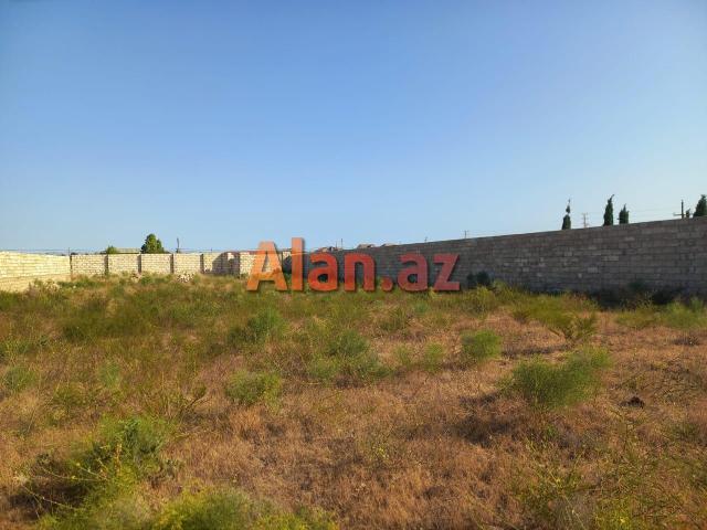 12 Sot Torpaq, Zirə qəs (Dəniz kənarı)
