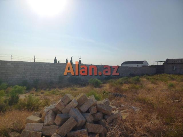 12 Sot Torpaq, Zirə qəs (Dəniz kənarı)