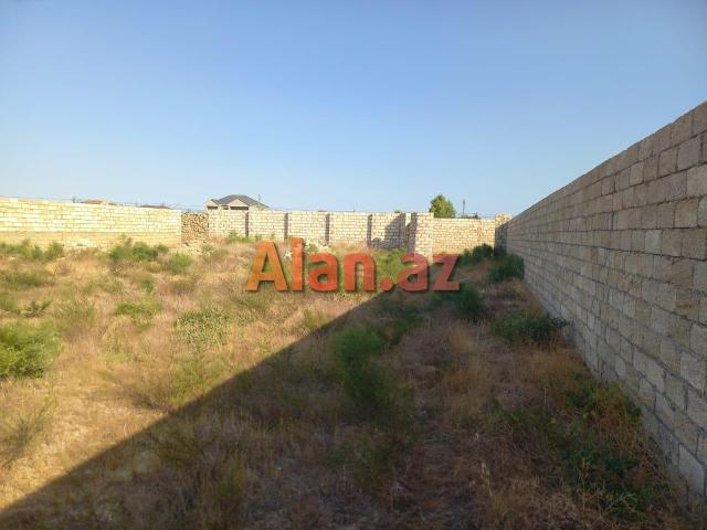 12 Sot Torpaq, Zirə qəs (Dəniz kənarı)