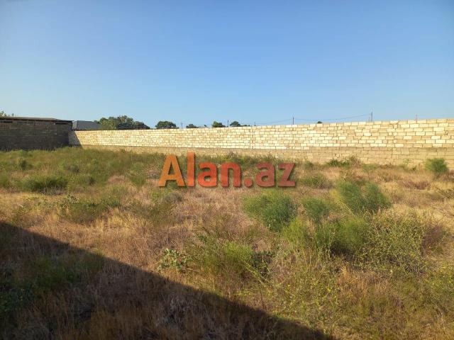 12 Sot Torpaq, Zirə qəs (Dəniz kənarı)