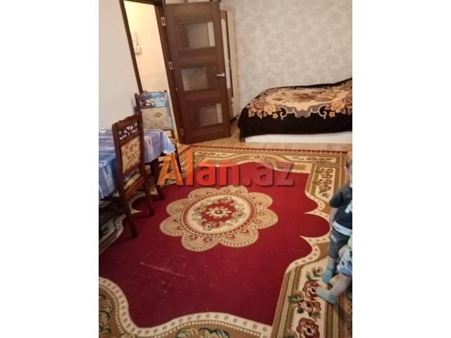 Yeni  tikili