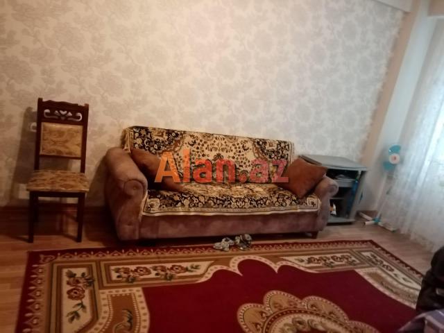 Yeni  tikili