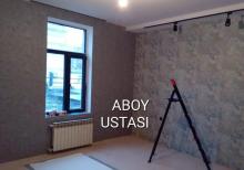 Aboy ustasi