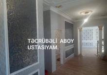 Aboy ustasi
