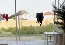 Buzovna Albalılıqda həyət evi  satılır