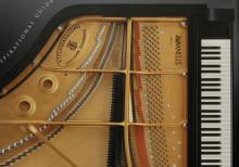 Piano köklenmesi