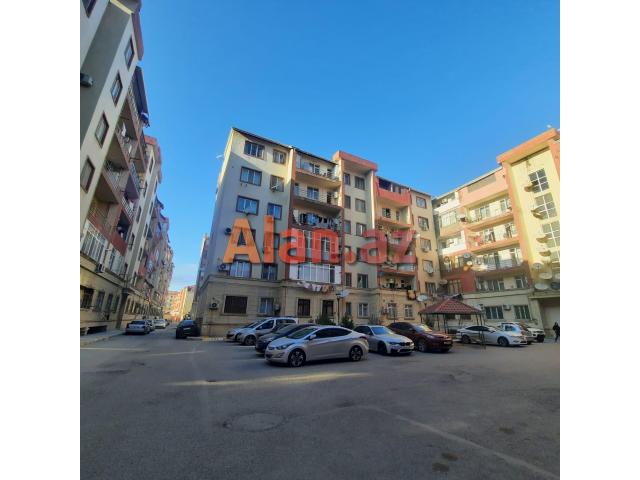Yeni  tikili