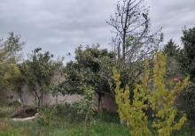 Mərdəkanda torpaq sahəsi satılır
