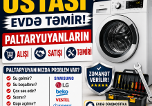 Paltaryuyan Ustası Temiri