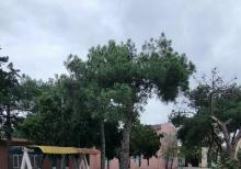 Mərdəkanda  bağ evi satılır