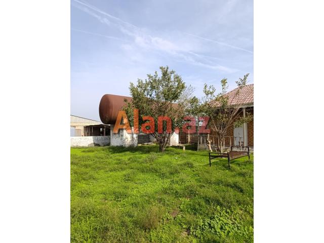 Mehemmedli qesebesinde 12600kv ferma icareye verilir
