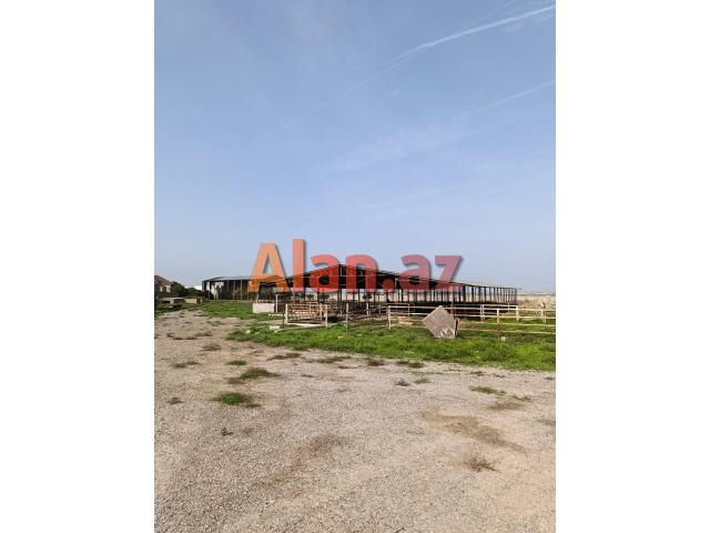 Mehemmedli qesebesinde 12600kv ferma icareye verilir