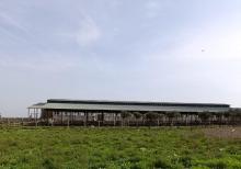 Mehemmedli qesebesinde 12600kv ferma icareye verilir