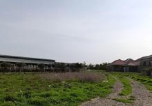 Mehemmedli qesebesinde 12600kv ferma icareye verilir