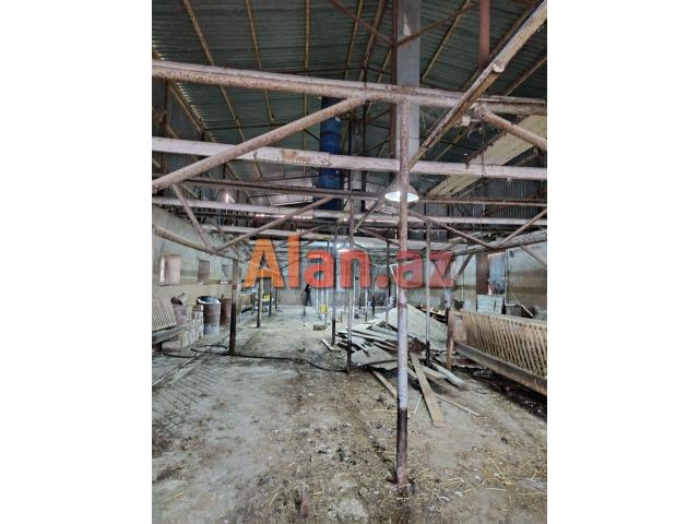 Memmedli qesebesinde 1200kv anbar icareye verilir