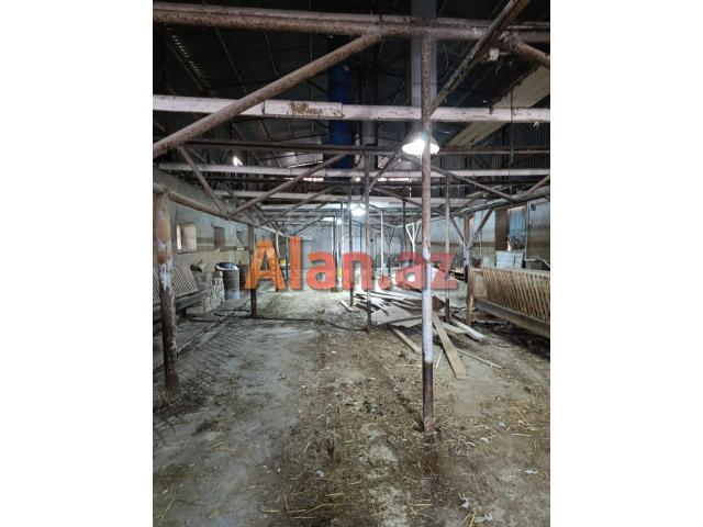 Memmedli qesebesinde 1200kv anbar icareye verilir